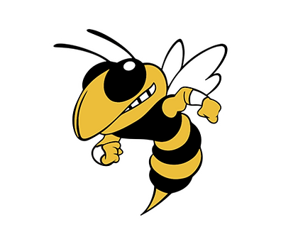 Yellow Jacket.png